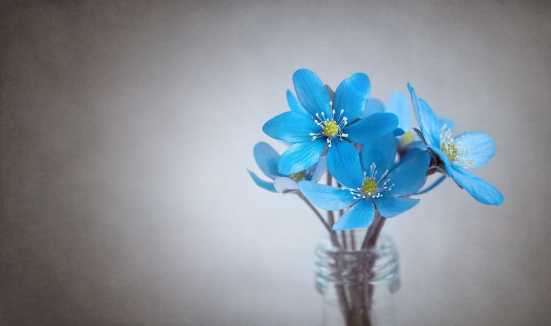Eccentric Floral Arrangement